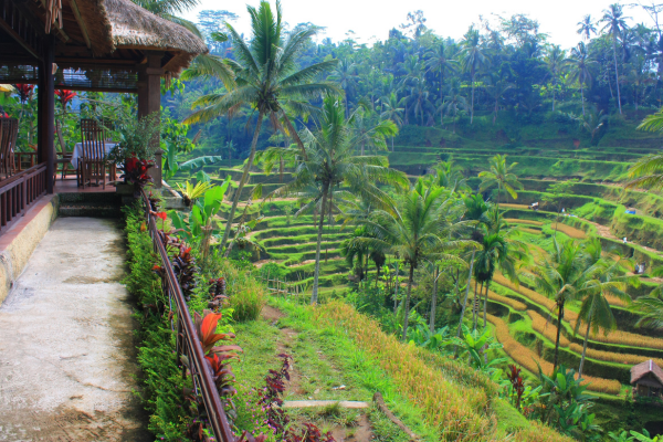 Bali - Indonésie - Combiné Jungle, Rizières et Sable de Bali 4*