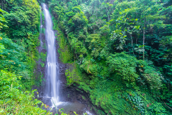 Combiné Jungle, Cascades et Sable de Bali - 12