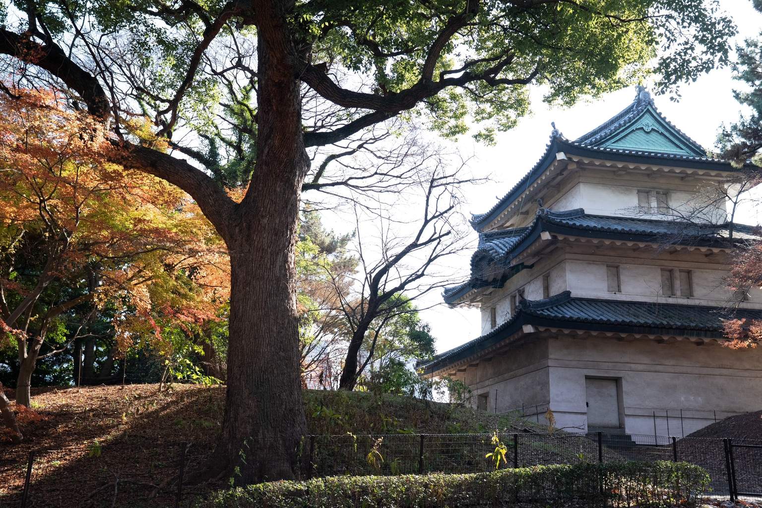 Circuit Liberté : Les Incontournables du Japon - 3