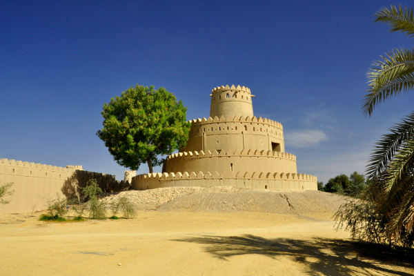 Circuit Emirats entre Dunes et Gratte-Ciels en Privatif - 5