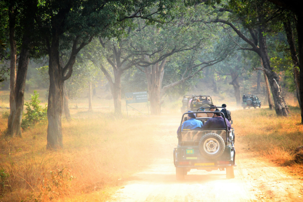 Circuit Safari Aventure au cœur de l'Inde, Circuit Inde par Ôvoyages Circuit Safari Aventure au cœur de l'Inde, Circuit Inde par Ôvoyages