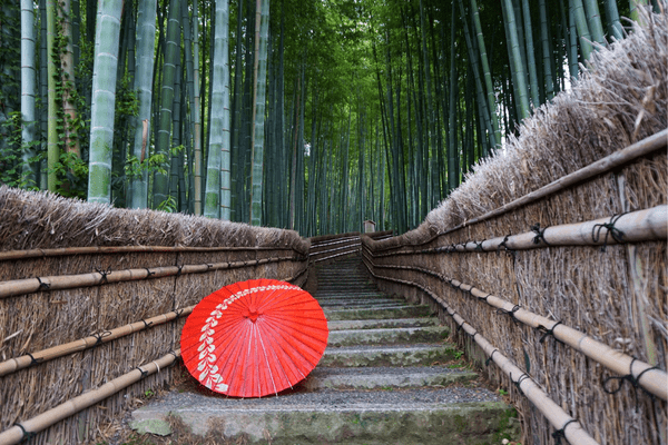 Combiné Japon-Corée, L'Eveil de Deux Mondes - 32