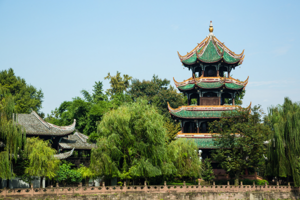 Circuit Pandas & Dragons en Privatif - 8