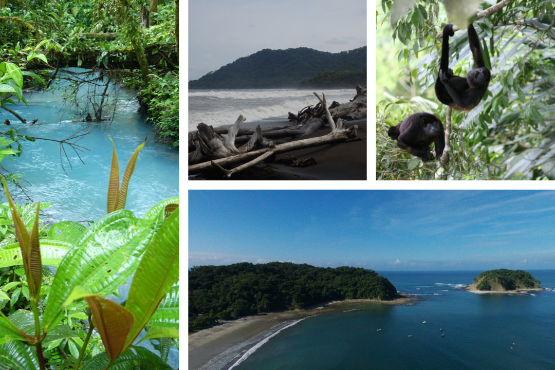 Circuit entre Jungles et Forêts du Costa Rica en 8 nuits avec extension Playa Samara
