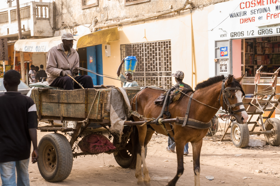 Sénégal - Circuit Privatif Du Siné Saloum aux Plages de la Petite Cote