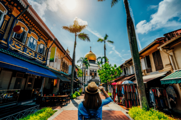 Circuit Singapour et Jasmin de Thaïlande en Privatif ** HAVAS ** - 14
