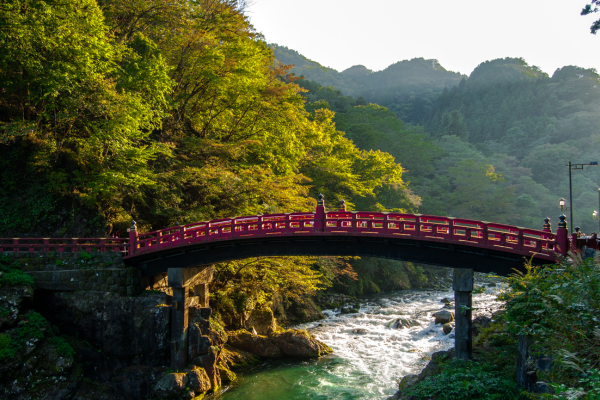 Circuit Au Coeur du Japon, Authentique et Insolite, Nikko et Tokyo en Liberté