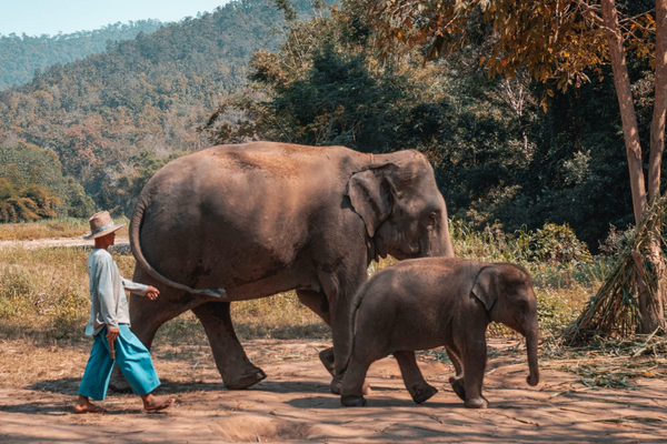 Circuit Trésors de Thaïlande et Hua Hin 5* - 2