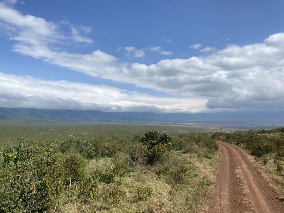 Safari Privatif - En Terre Sauvage - 8