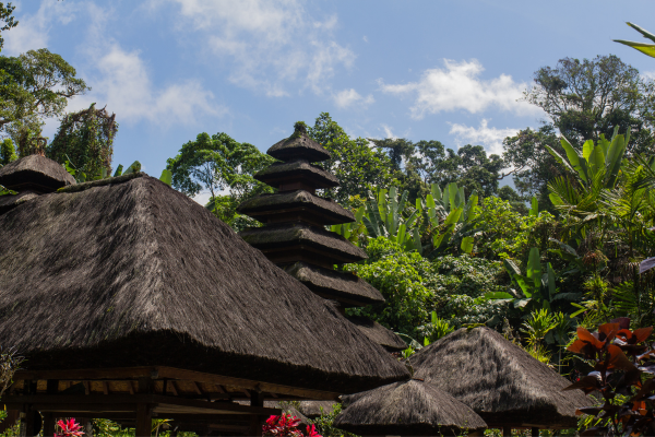 FLEX Circuit Bien-Être à Bali en Privatif - 9