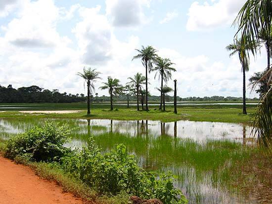 Sénégal - Circuit Privatif Evasion au Sénégal entre Culture et Plage