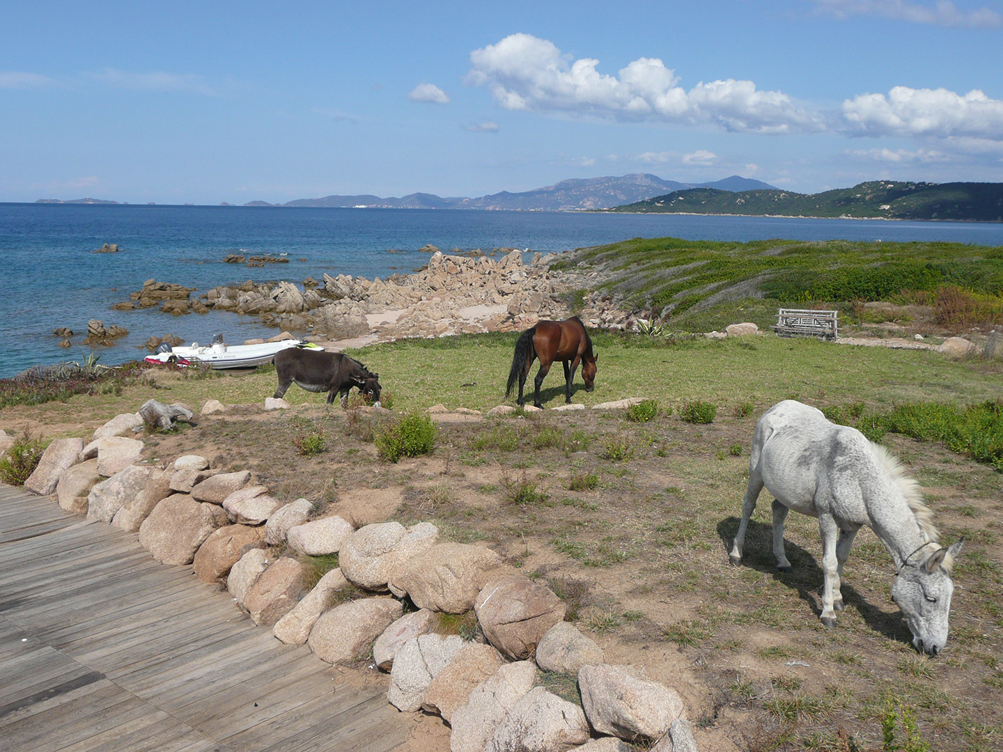 Corsica Tradizioni en demi-pension sans transport - 4