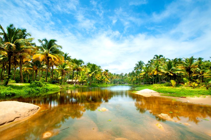 Mon Circuit Privé L'Essence du Kerala - 10