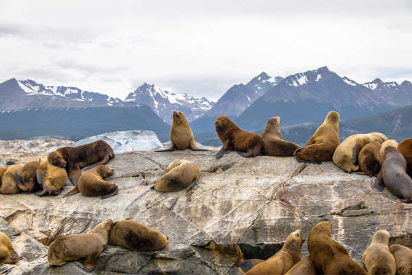 FLEX Circuit On dirait le Sud... Argentin ! - 28