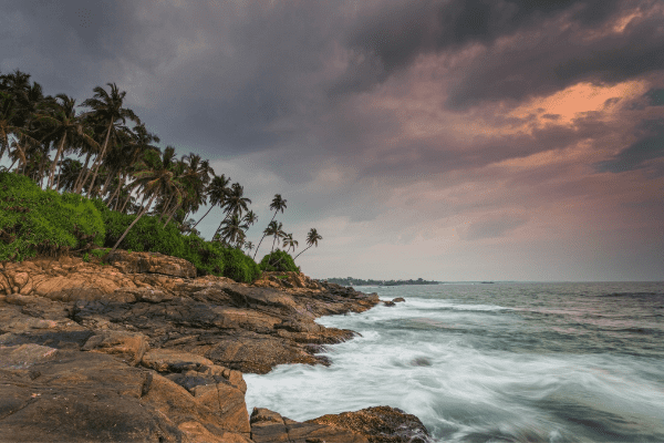 Sri Lanka - Circuit Sur la Route des Epices et plage de Beruwela