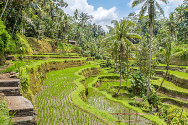 Bali - Indonésie - Combiné Des Rizières de l'île des Dieux aux eaux turquoise de Nusa Lembongan 3*
