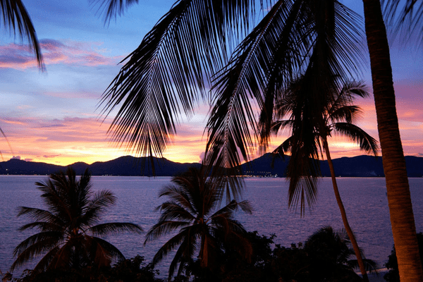 Phuket,Pullman Arcadia Naithon - 12