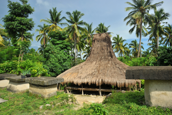 Hôtel Bali à Denpasar, circuit de bali aux terres sauvages de sumba