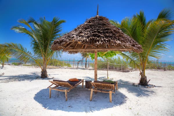Circuit Savane et Mer, De la Terre du Roi Lion à l'Archipel de Zanzibar - 27