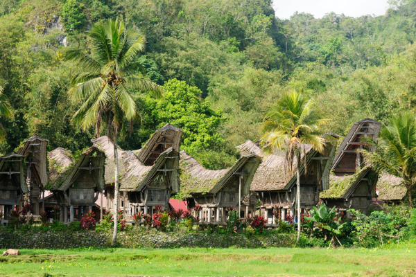 FLEX Circuit De Java au Pays Toraja - 22