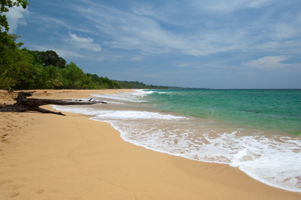 Circuit Dans le Sillage des Corsaires : De Panama à Bocas del Toro - 36