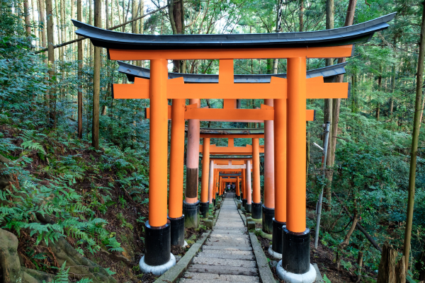 Hôtel Japon à Osaka, circuit japon eternel temples et torii au pays du soleil levant