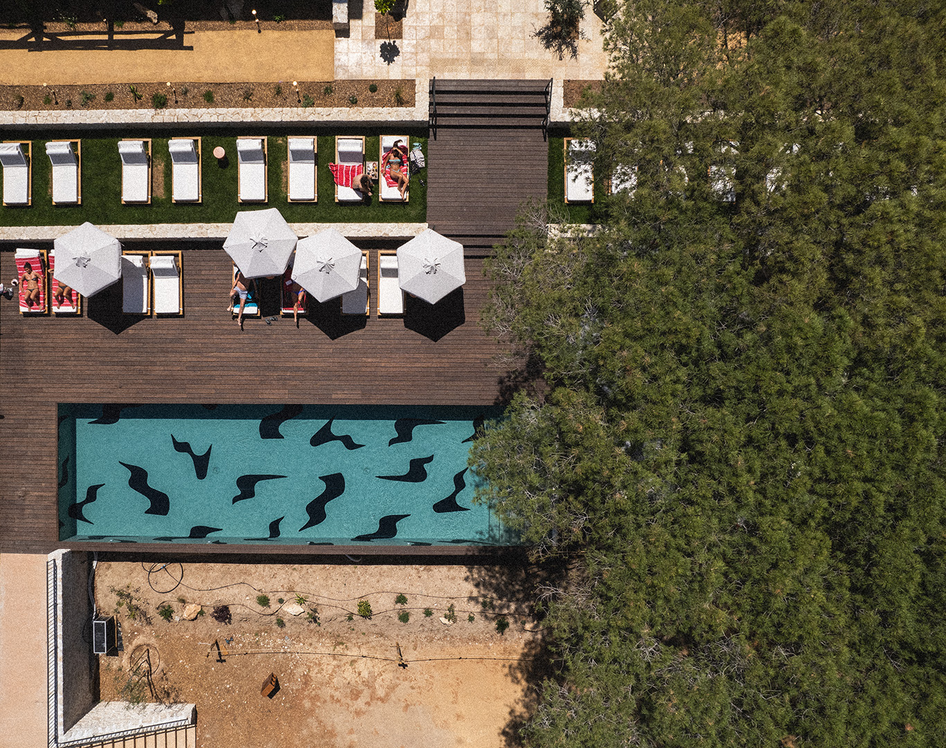 Hôtel Basgi Basgi**** avec vols réguliers - 14