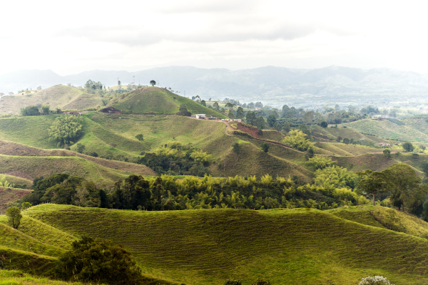 Colombie - Circuit Colombia, Mi Encanto