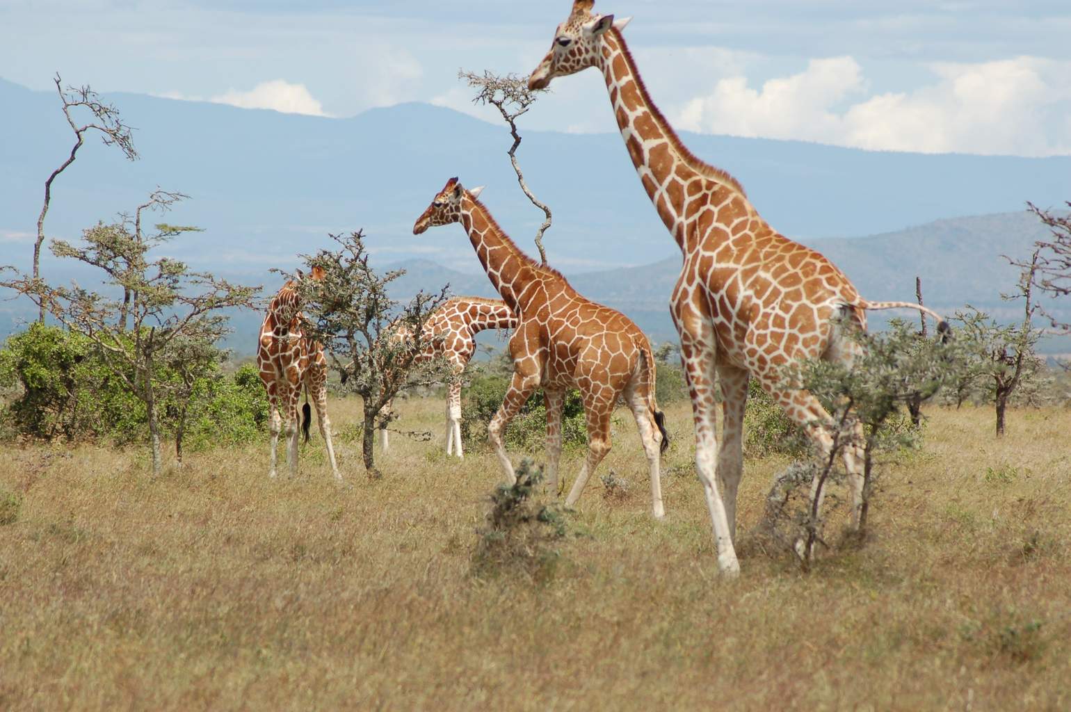 Kenya - Mon Safari Privé Le Kenya Autrement