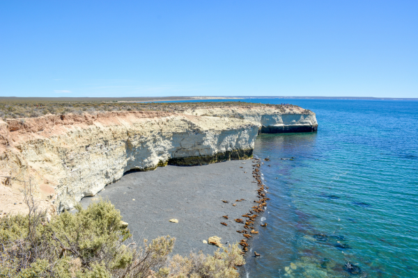 FLEX Circuit On dirait le Sud... Argentin ! - 18