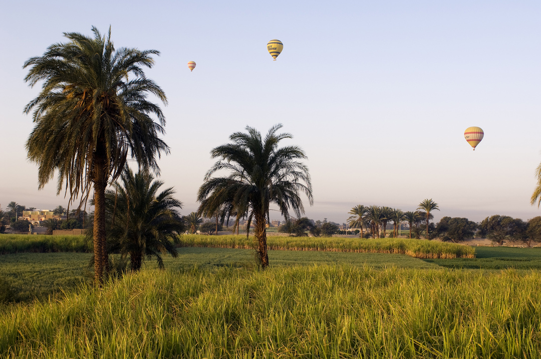 Egypte - Louxor et la vallée du Nil - Croisière Déesses du Nil et Utopia Beach Club