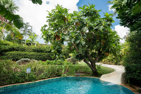Hôtel Thaïlande à Bangkok, circuit tresors de thailande et plage sur coconut island 5