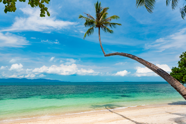 Combiné Bangkok, Koh Phangan, Samui