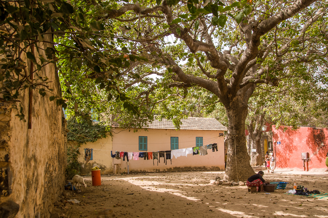 Sénégal - Circuit Privatif Evasion au Sénégal entre Culture et Plage