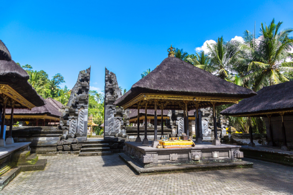 FLEX Circuit De la Jungle de Sumatra aux Temples de Bali - 31