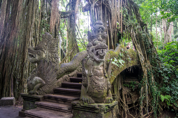 Combiné Jungle et Plage de Bali 4* - 20