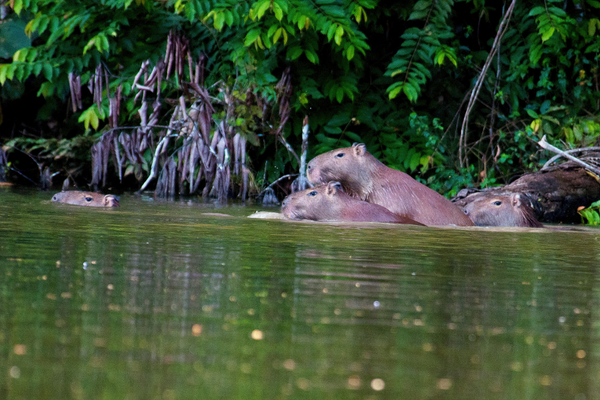 Circuit du Cœur du Pays Inca au Fleuve Amazone, Circuit Pérou par Ôvoyages Circuit du Cœur du Pays Inca au Fleuve Amazone, Circuit Pérou par Ôvoyages