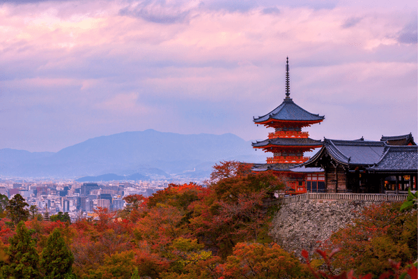Image 25 du séjour Circuit Japon Eternel, Temples et Torii au Pays du Soleil Levant à Osaka, Japon