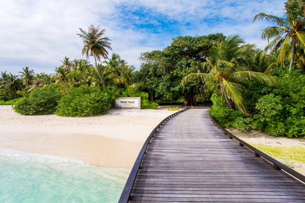 Séjour Dusit Thani Maldives 5* - 25