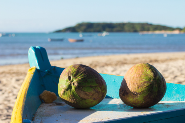 Brésil - Combiné De Rio aux plages de Buzios