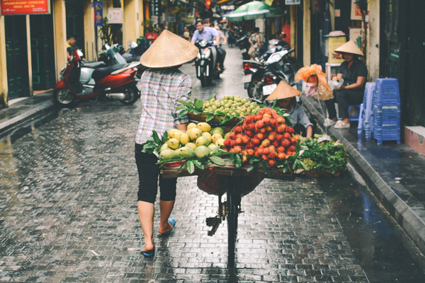 Circuit Vietnam Ethique et Responsable : Echappée Vietnamienne entre Faune et Flore en Privatif - 5