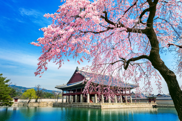 Circuit Trilogie Coréenne : Séoul, Busan et Gyeongju - Vols Flex