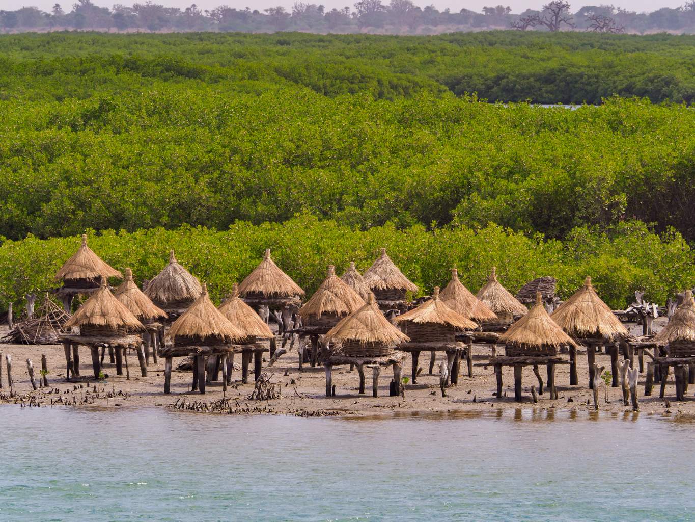 Mon Circuit Privé du Siné Saloum aux Plages de la Petite Côte - 3