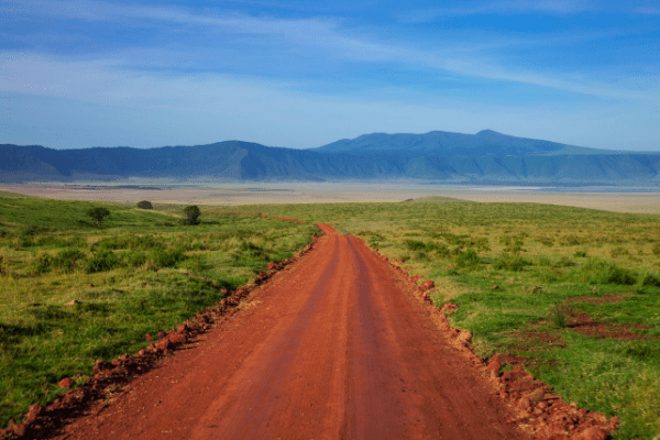 Circuit De la Savane Africaine à l'île aux Epices, plages de Kiwenga - Privatif - 27