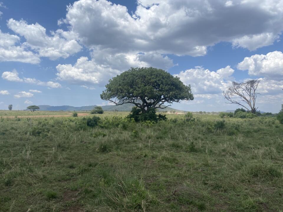 Safari Privatif - En Terre Sauvage - 10