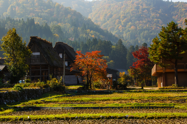 Circuit Au Coeur Du Japon Authentique Et Insolite Japon