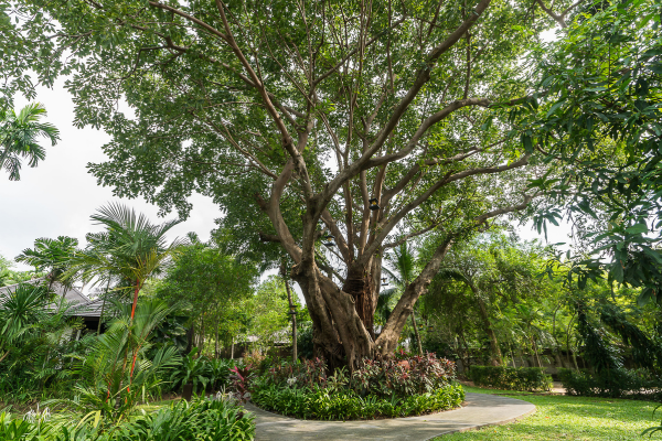 Séjour Pattaya, Sea Sand Sun and Villas 4* - 6