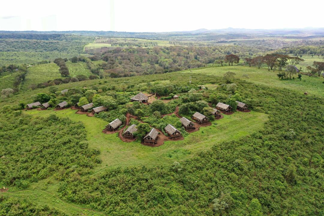 Safari Privatif - Aventure Tanzanienne - 33