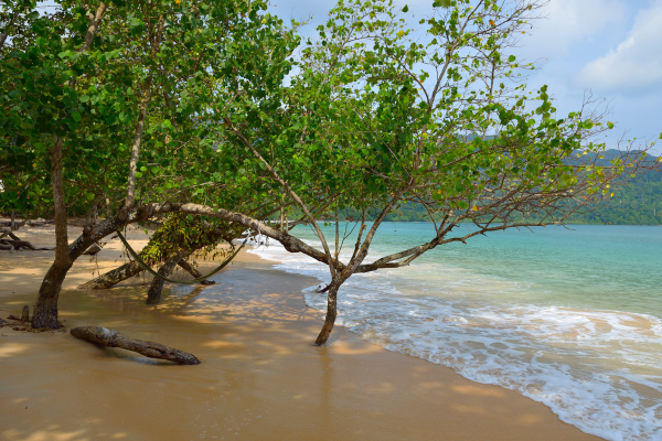 Malaisie en Liberté, Des Terres Sauvages de Taman Negara à l'île de Langkawi 4* - 1