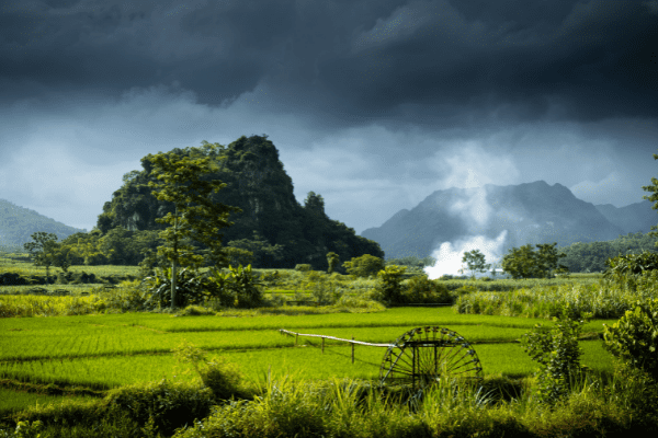 Circuit Vietnam Ethique et Responsable : Echappée Vietnamienne entre Faune et Flore en Privatif - 14